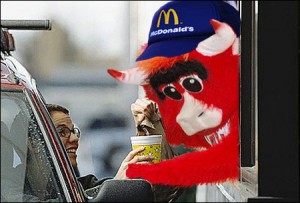 2011-09-01-bennythebull2