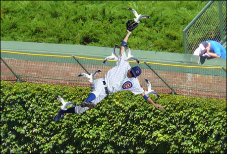 2012-05-05-campana-gulls
