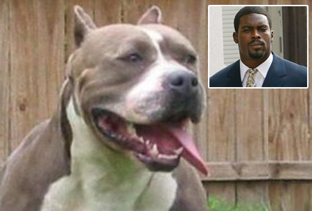 2012-8-4-DogVick