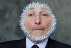 2012-11-27-BettmanBlowfish