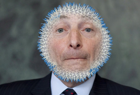 2012-11-27-BettmanBlowfish