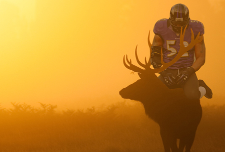2013-2-3-RayLewisDeer