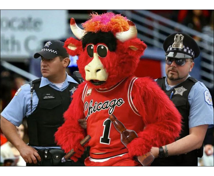 2019-12-30-bennythebull.jpg